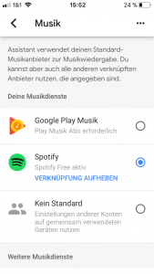 Google Home App Musik
