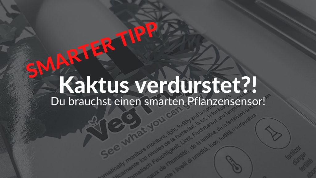 Grüner Daumen dank Smart Home