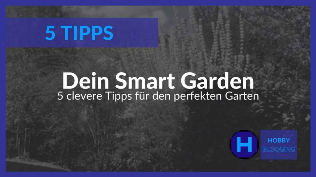 Smart Garden - 5 Tipps für den Sommer