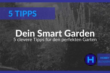 Smart Garden - 5 Tipps für den Sommer