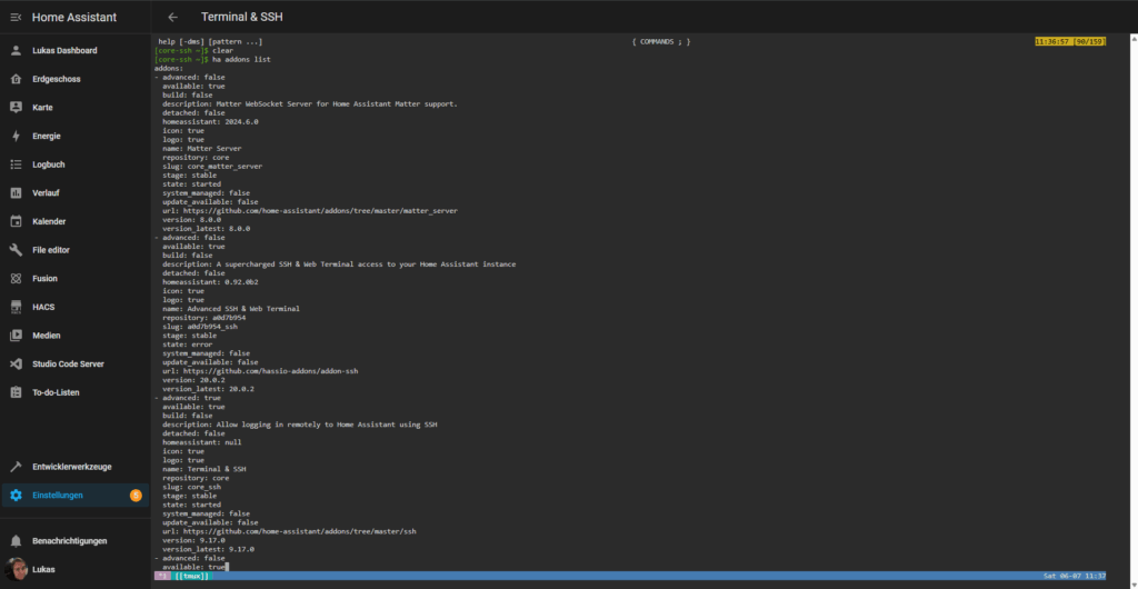 Liste der installierten Addons in Home Assistant abgefragt durch einen Befehl im Terminal