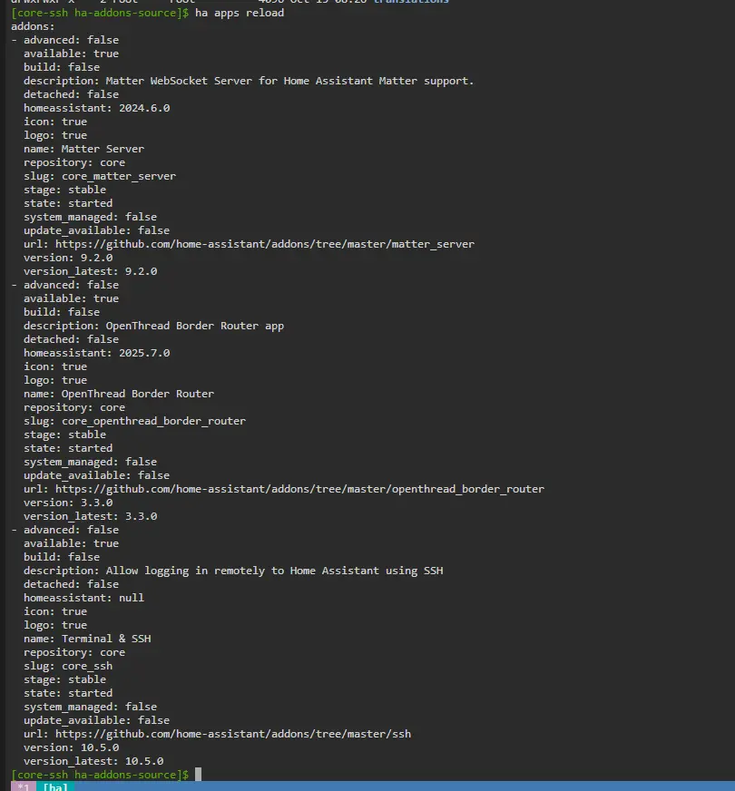 Ein Terminalfenster zeigt die Ausgaben des Home Assistant mit Informationen zu installierten Add-ons, deren Status und Versionen. Die Ausgaben beinhalten Details zu einem SSH-Add-on und einem OpenThread-Border-Router, einschließlich Anwendungsstatus, Versionen und Konfigurationsoptionen, wobei verschiedene Parameter wie "advanced," "repository," "state," und "available" aufgelistet sind.